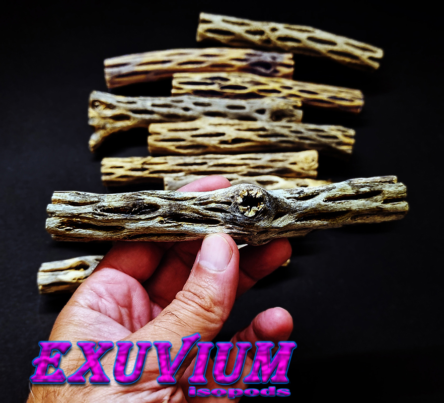 Cholla wood for isopods, fish and other pet animals. In stock, for sale.