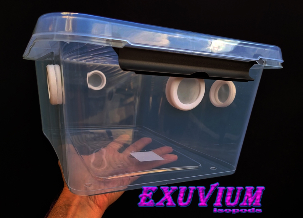 Plastic bin for isopods and other invertebrates. 12.5 liter. In stock, for sale.