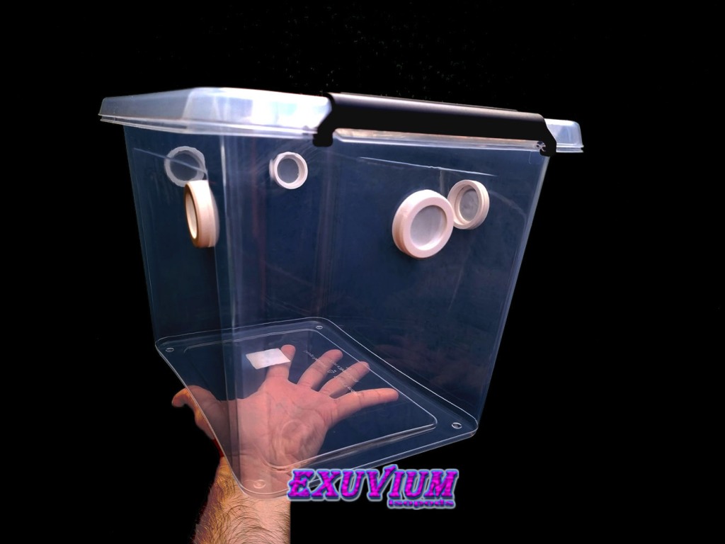 Plastic bin for isopods and other invertebrates. 19 liter. In stock, for sale.