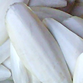 cuttlefish bone, sepia