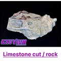 limestone cut, rock for isopods