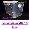 enclosure 6.5 liter for isopods