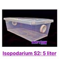 isopodarium, terrarium 5 liter for isopods