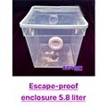 escape-proof enclosure for isopods