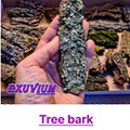 tree bark for isopods